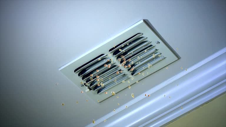 Best Emergency Air Duct Cleaning  in Maysville, NC