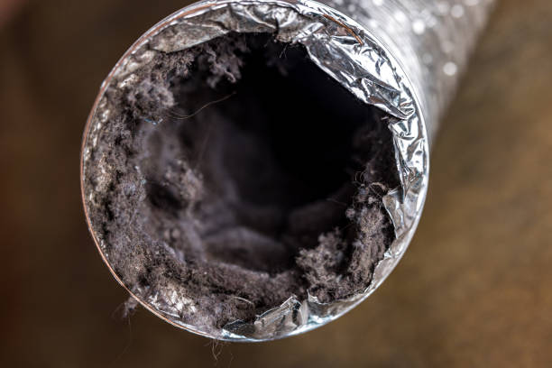 Professional Airduct Cleaning in Maysville, NC