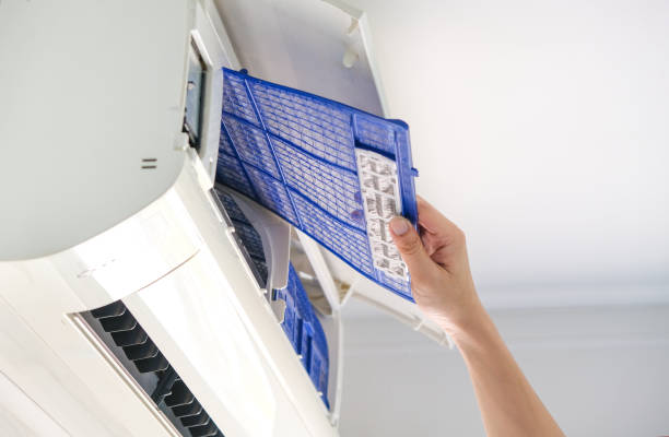 Best Ventilation Cleaning Services  in Maysville, NC