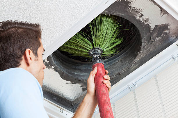 Best Ventilation Cleaning Services  in Maysville, NC